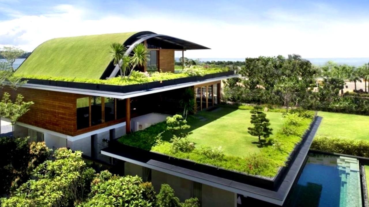 Zöld tető - zöld mozgalom, házak